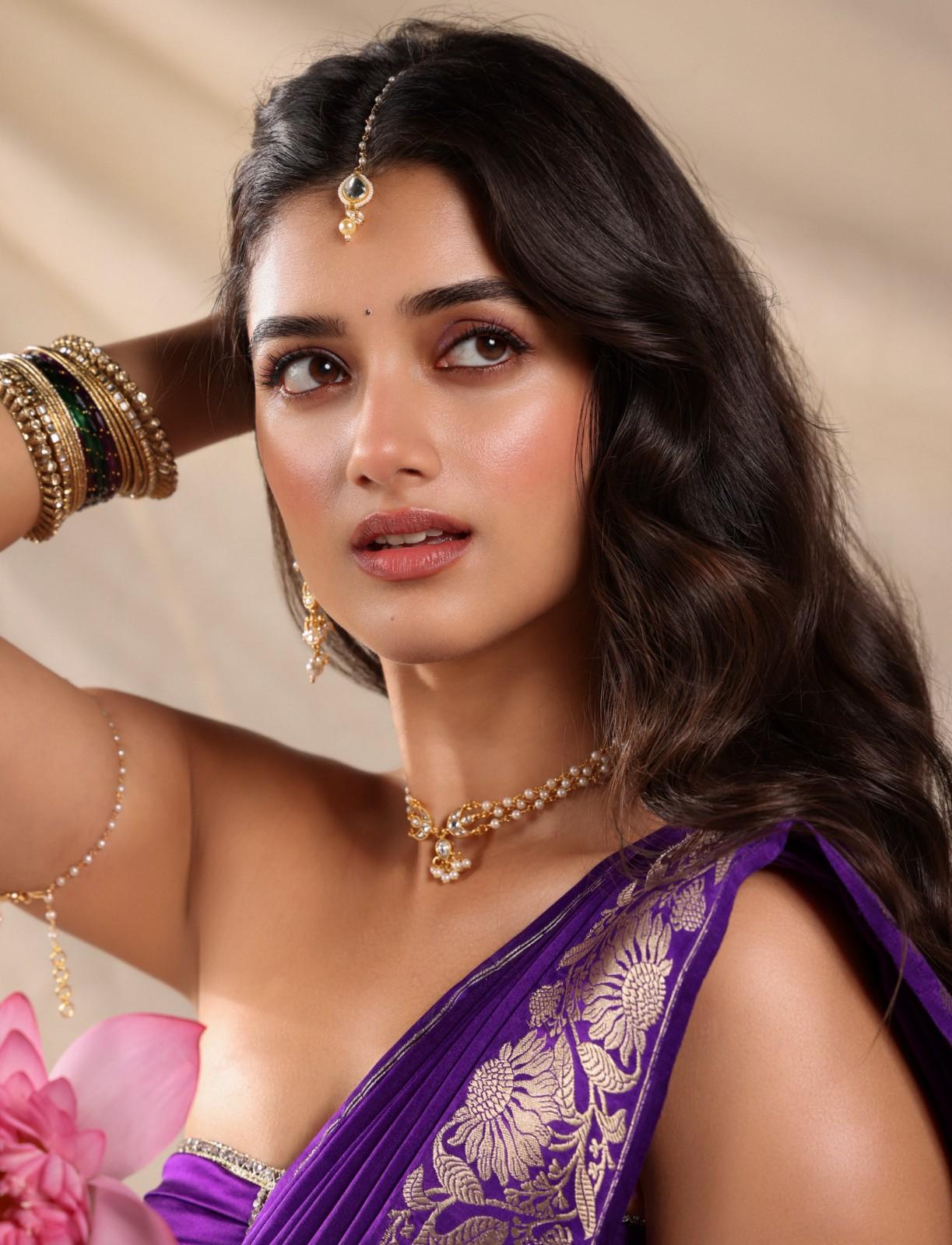 Actress Bhagyashri Borse Shares Her Recent Treditional Photo Shoot Photos Whiche Express Her Glamour And Homely Zone