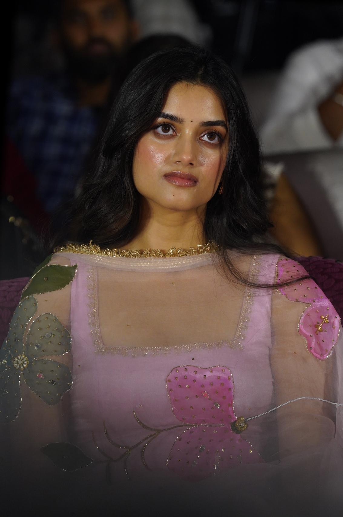 Bhagyashri Borse in pastel embroidered saree