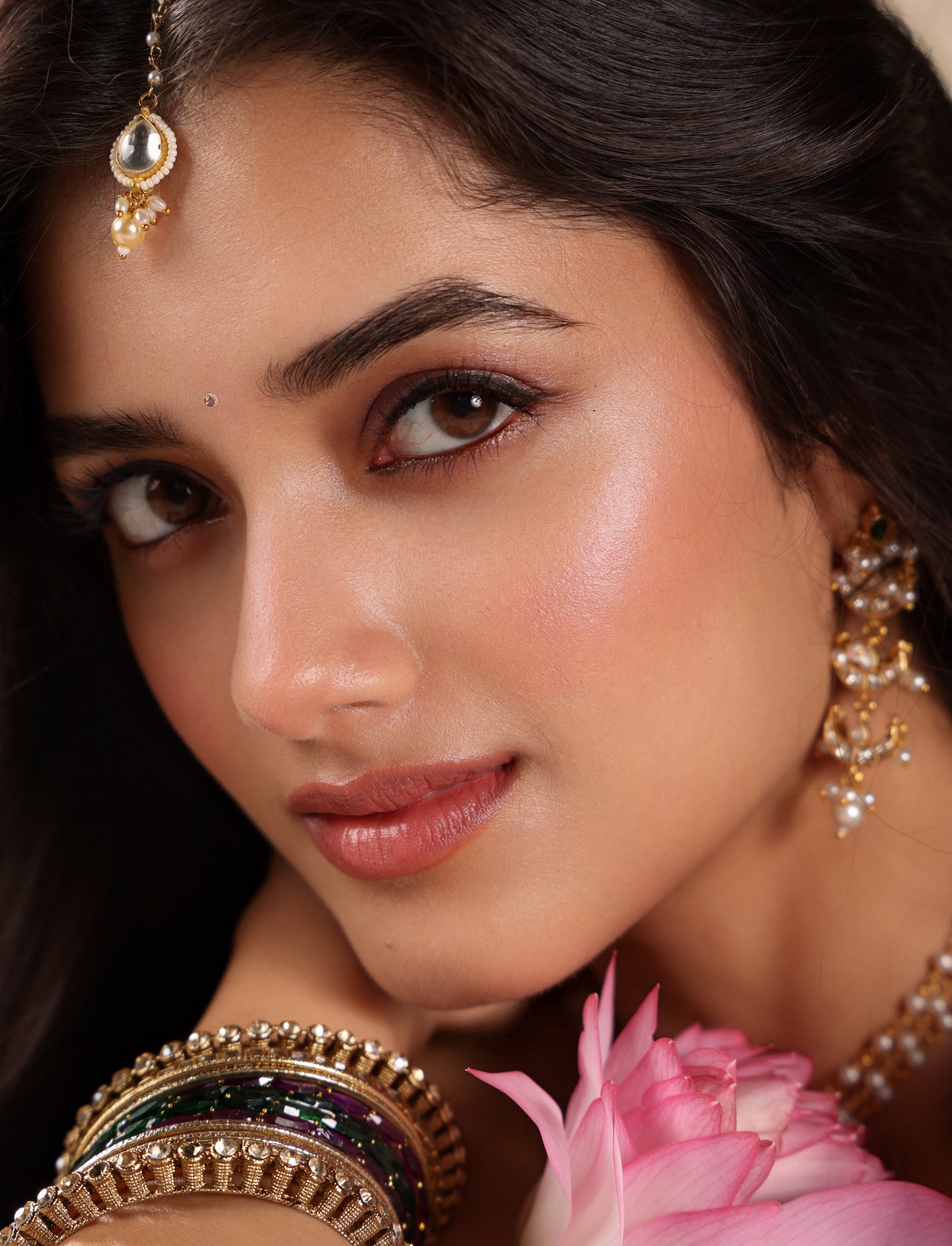 Bhagyashri Borse elegant traditional style