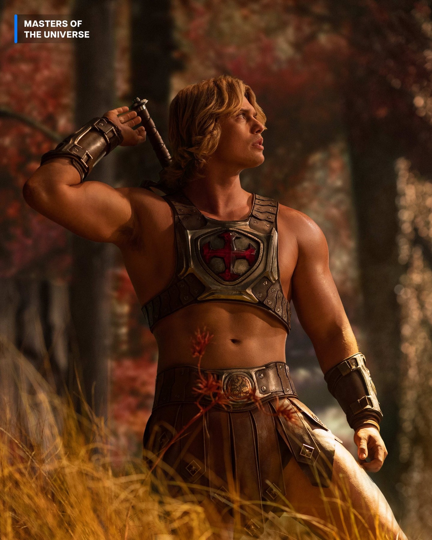 A Story That Bridges Earth and Eternia