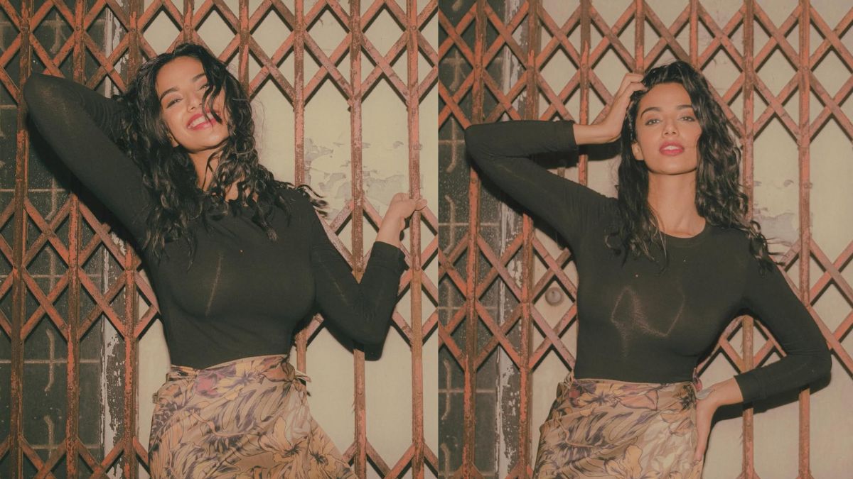 గత్తర లేపుతున్న మీనూ.. ఆ పోజులు చూస్తే కుర్రాళ్లు ఏం కాను..