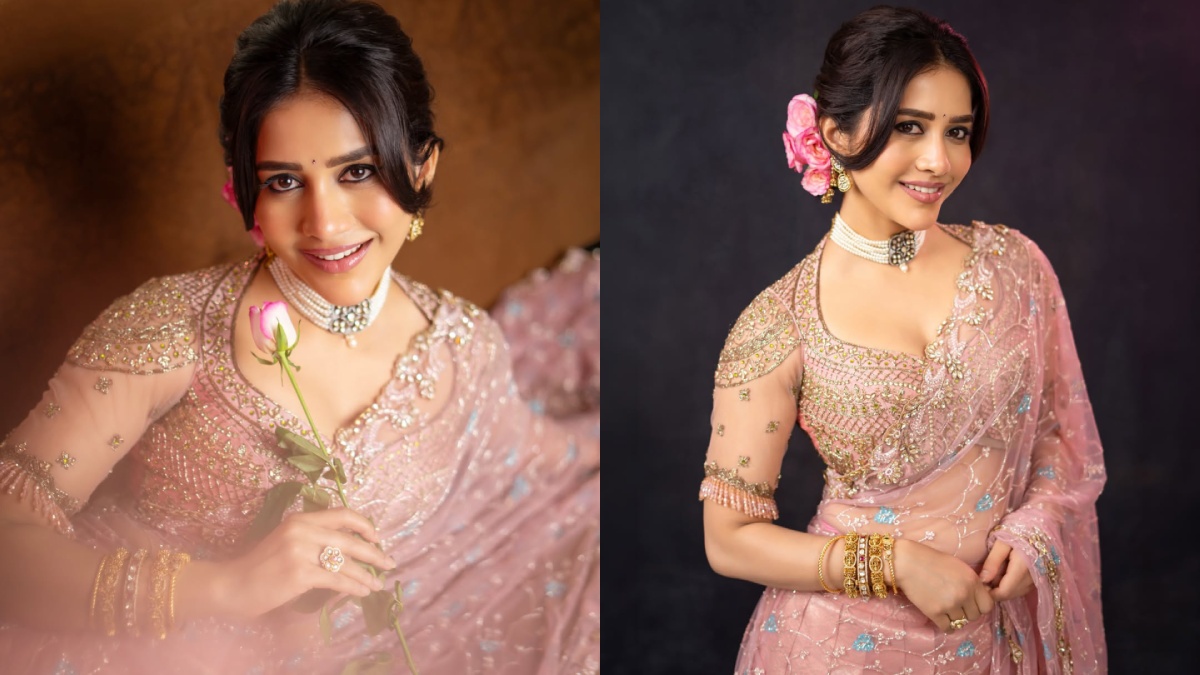 Nabha Natesh Serves Timeless Fashion Goals in Embroidered Pink Ensemble