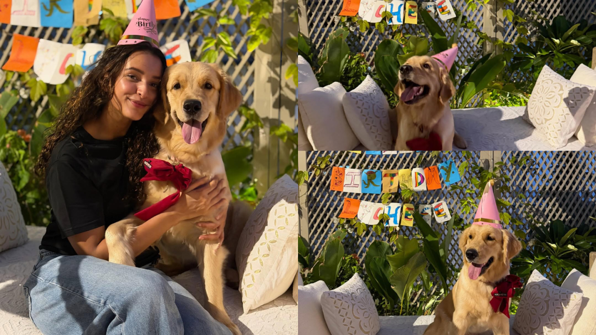 Tripti Dimri’s Adorable Pet Dog Lychee Birthday Celebration Is Pure Happiness and Love