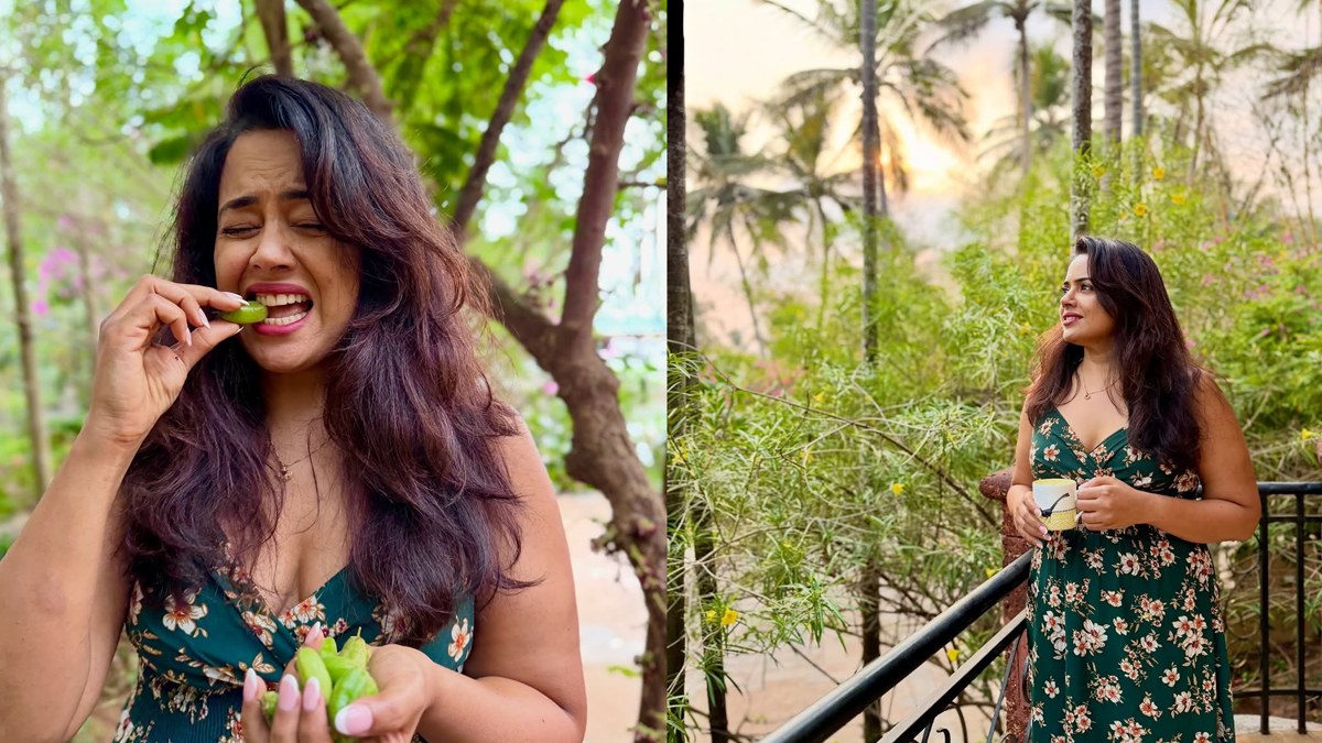 வாரணம் ஆயிரம் ஹீரோயினா இவங்க?.. சமீரா ரெட்டி இப்படி மாறிட்டாங்களே.. எப்படி இருக்காங்கனு நீங்களே பாருங்க