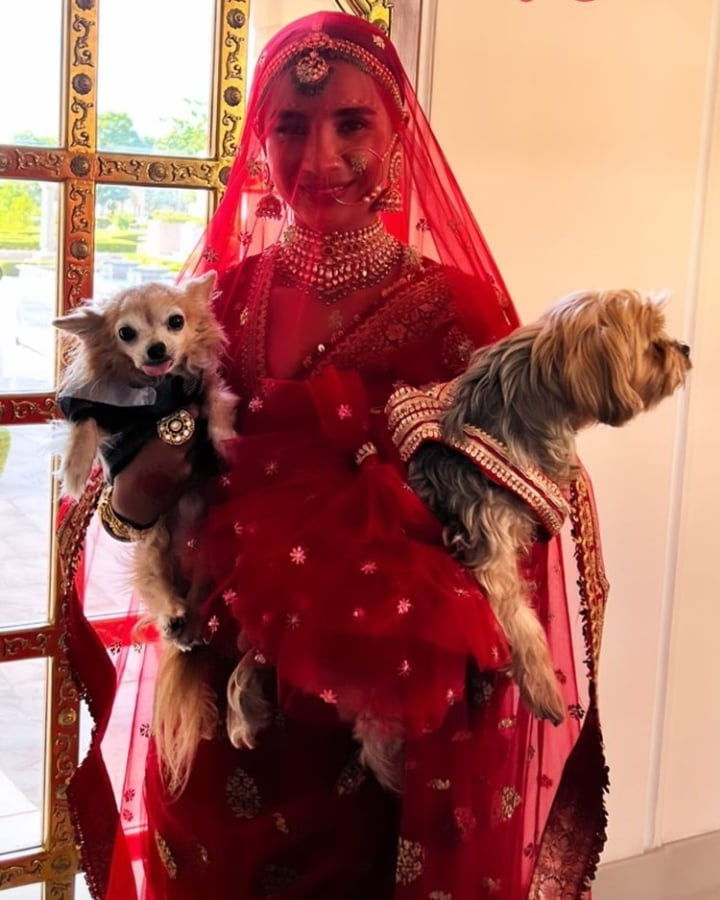 rajkummarraoweddings