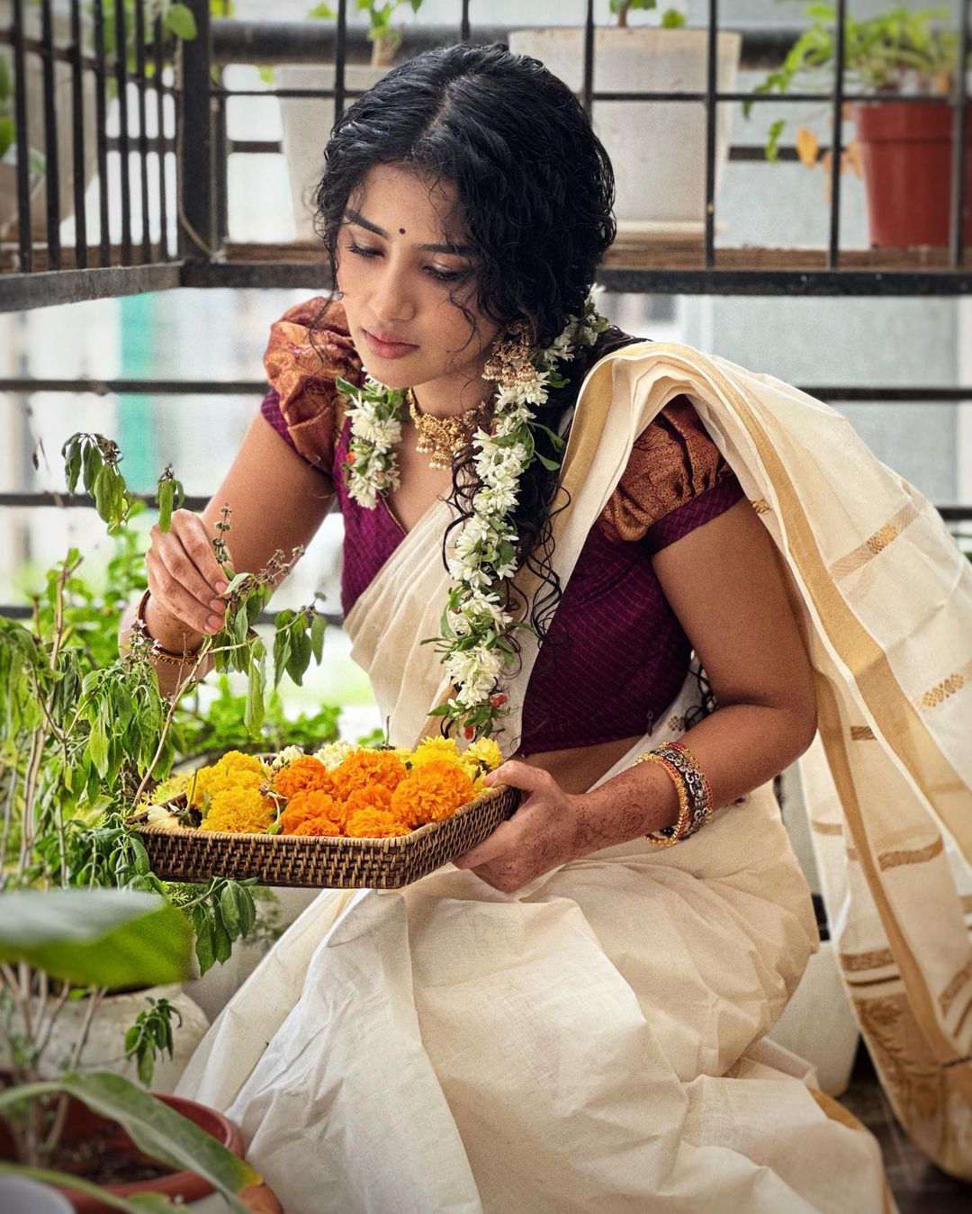 anupama parameshwaran