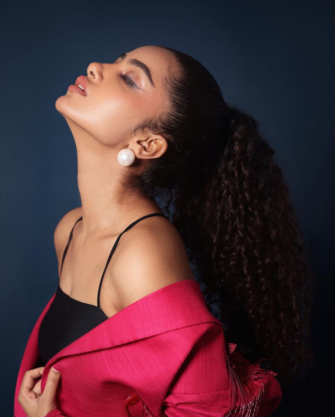 anupama parameshwaran