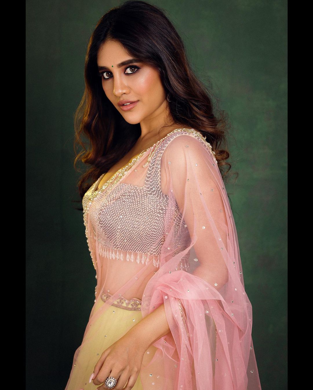 nabha natesh
