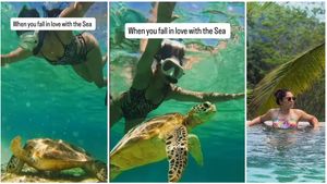 Summer Special: “ஆமையுடன் ஜாலி குளியல்”.. பிக் பாஸ் நடிகையின் பாலி தீவு அட்ராசிட்டி!