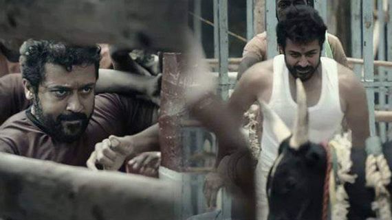 Suriya: வாடிவாசல் படத்திற்காக காத்திருக்கும் காளைமாடு & கலைப்புலி தாணு.. அப்டேட் கொடுத்த சூர்யா!