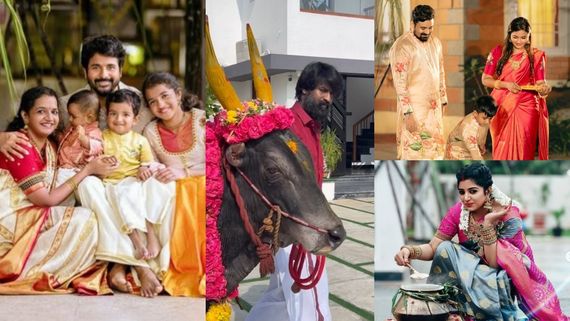 குடும்பத்துடன் பொங்கல் கொண்டாடிய சிவகார்த்திகேயன்..தை திருநாள் வாழ்த்து கூறிய திரைப்பிரபலங்கள்!