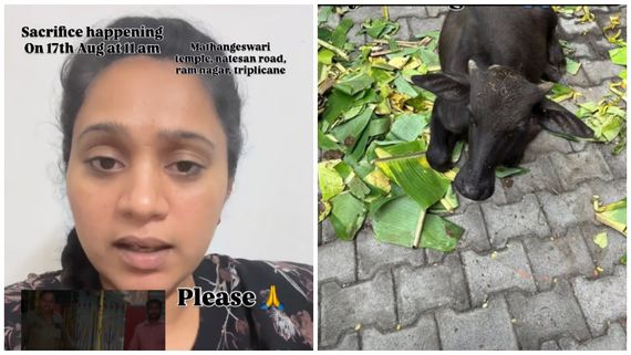 சீமாத்தம்மன் கோவிலில் கன்றுக்குட்டி பலியிடயிருந்ததா?.. நடிகை வெளியிட்ட வீடியோவால் பரபரப்பு!