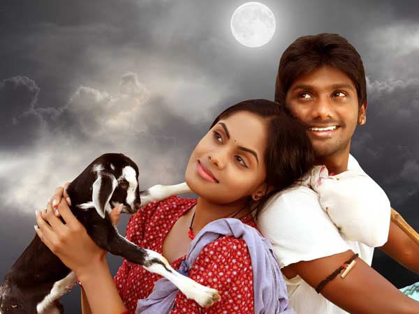 அமீரும் இல்லே.. மனோஜ்தான்
