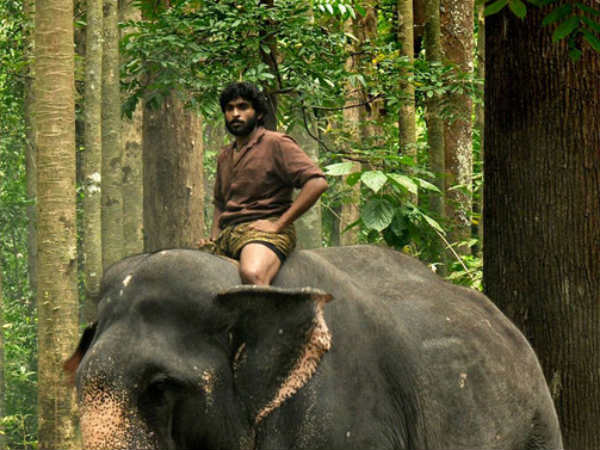 களங்கள்தான் கதாநாயர்கள்…