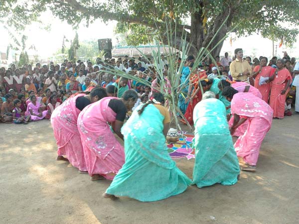 கால்நடைகளை சிறப்பிக்கும் பொங்கல்