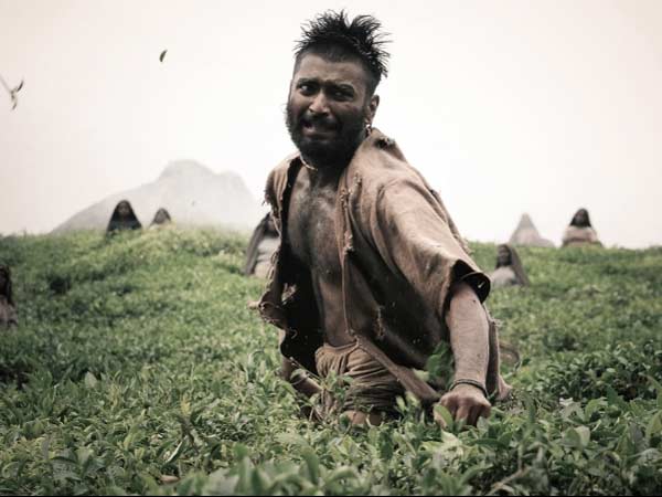 ஒட்டுப்பொறுக்கியின் வருத்தம்...