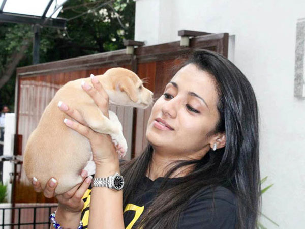 விலங்குகள் மீது காதல்