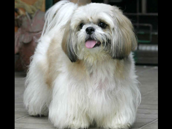 'இவரு' மாதிரிதான் அவரு இருப்பாரு...!