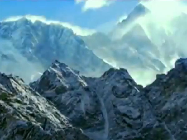 சிங்கவால் குரங்கு சிங்கவால் குரங்கு