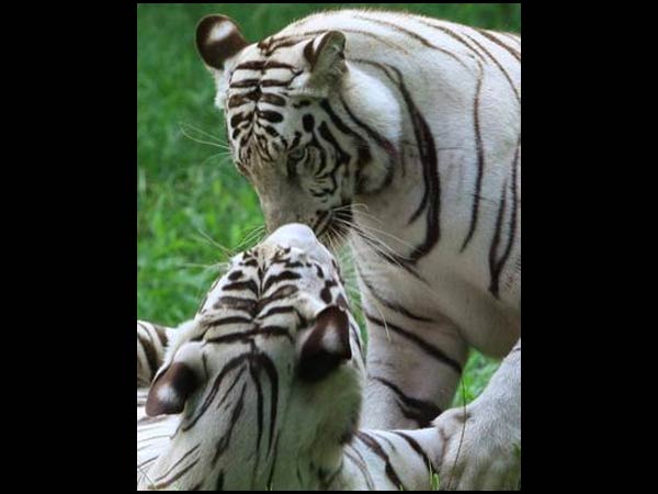 இது எதிர்பாராத ஒன்று...