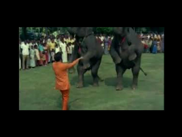 தேவர் பிலிம்ஸ்