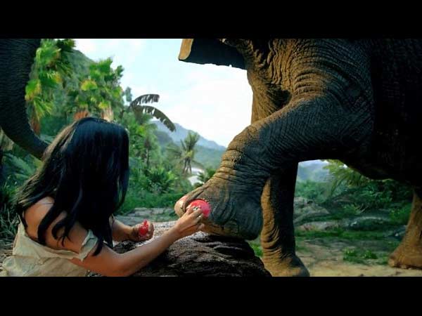 யானை நகத்திற்கு 'பெயிண்ட்' அடித்து..