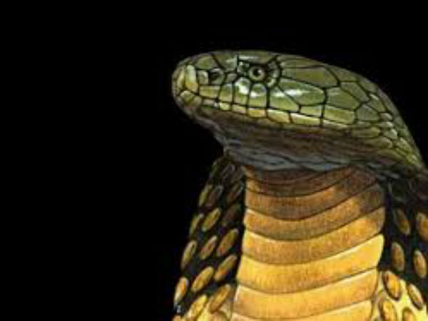 அழகான காட்சிப்படுத்தல் அழகான காட்சிப்படுத்தல்