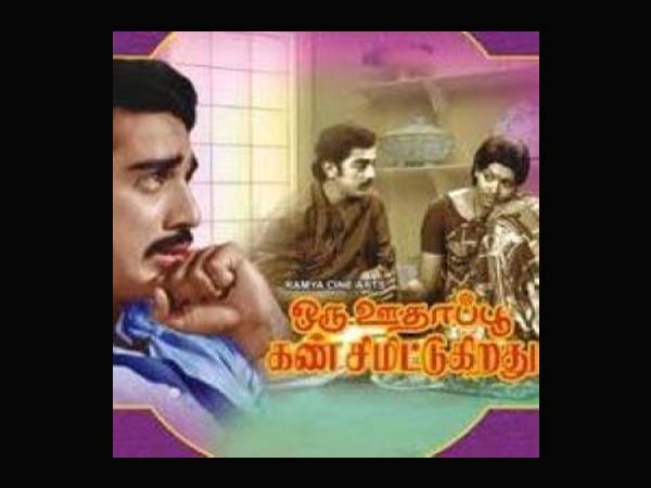 ஒரு ஊதாப்பூ கண் சிமிட்டுகிறது