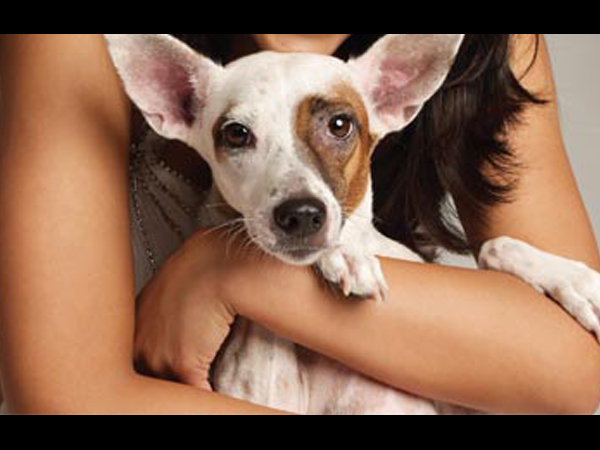 கேட்பரி மரணம்