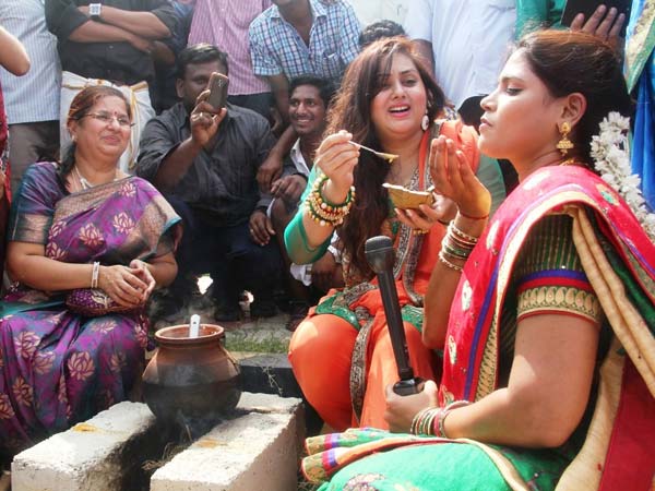 பொங்கல் விழா