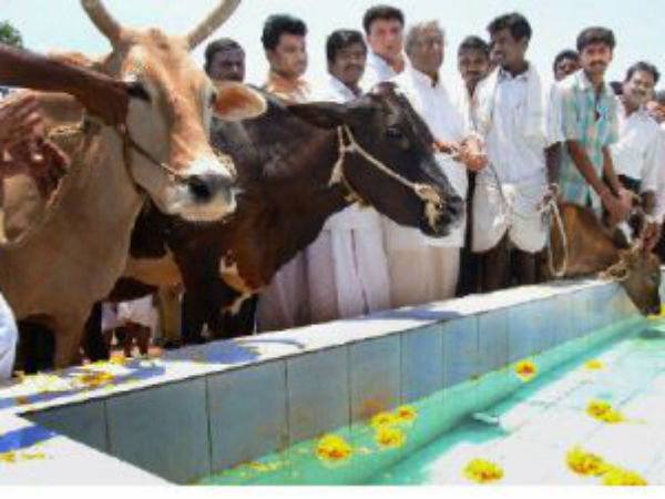 நாச்சிக்குப்பம்