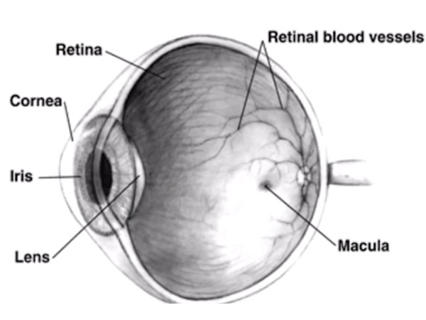 சிகிச்சை...