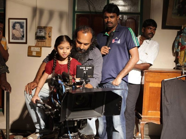 திருவிழா கொண்டாட்டம்: