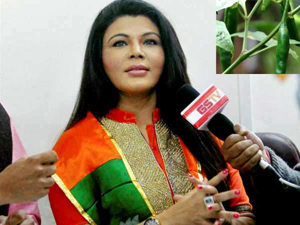 முதல்வர் கனவு....