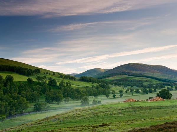 Scotland welcomes Rajini