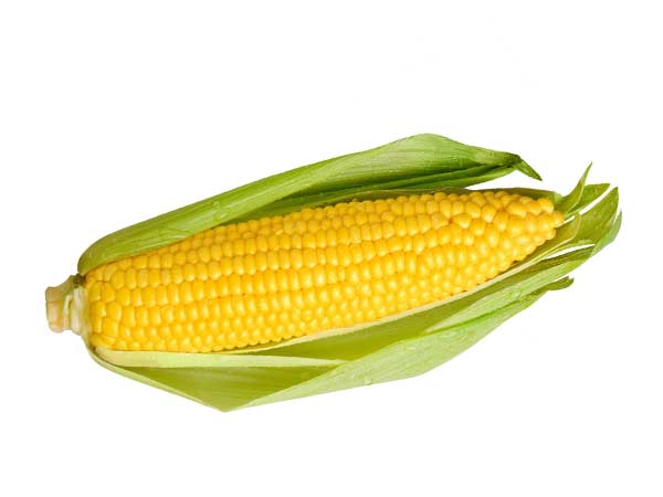 5 பைசாவுக்கு சோளக் கதிர்