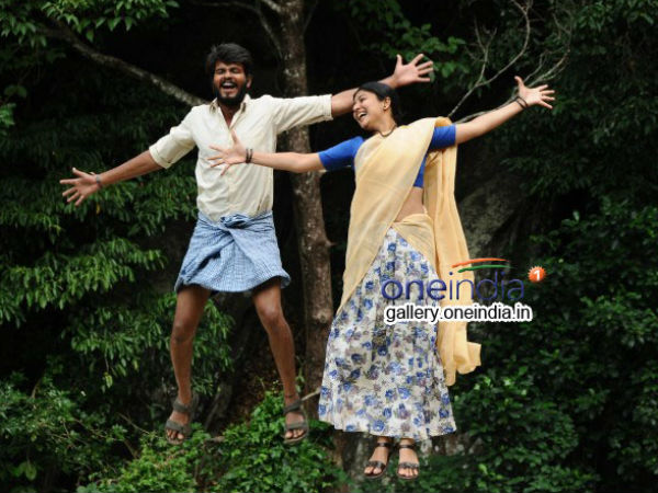 மைனா பாணியில்