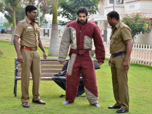 நாய்கள் ஜாக்கிரதை