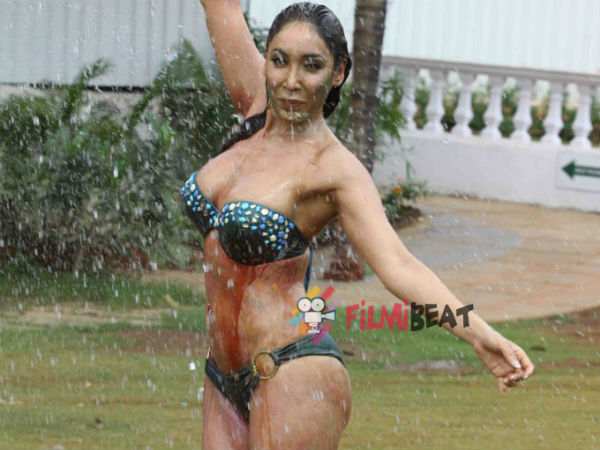 Police Case On Actress @ Holi