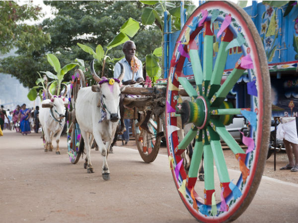 எந்தெந்த நாட்கள்?