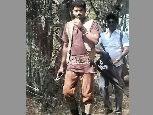 புலி யை எப்போது காணலாம் புலி யை எப்போது காணலாம்