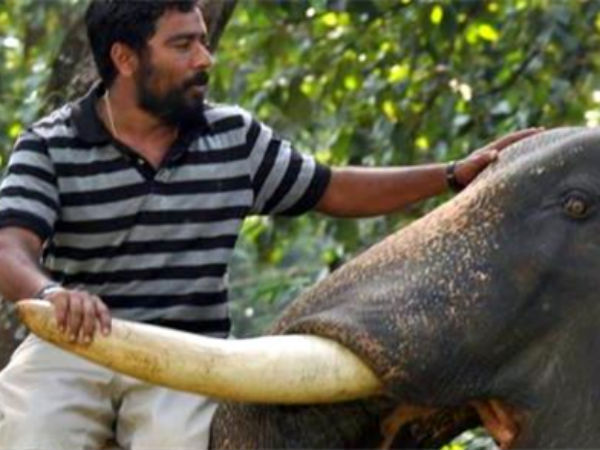 I like Amala Paul who do not ought to make-up - Cinematographer M.Sukumar 