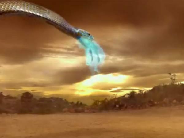 விஷ்ணுவர்த்தன்