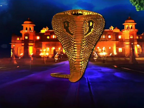 இச்சாதாரி நாகங்கள்