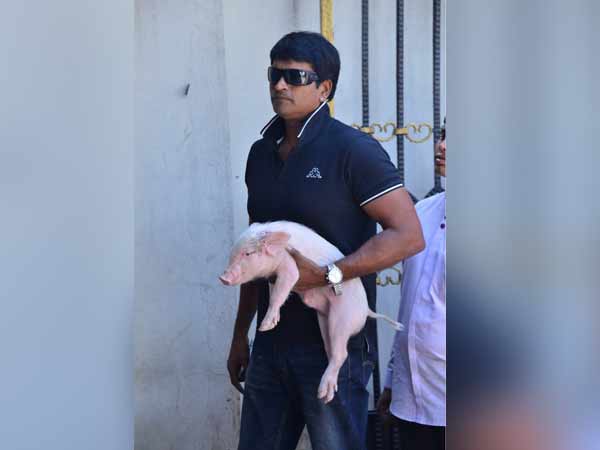 பண்ணை பண்ணை