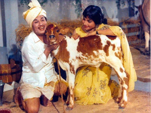 MGR's Maattukkara Velan releasing after 46 years 