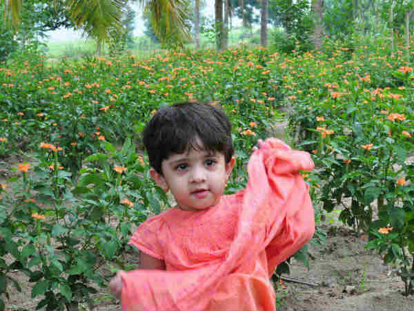 கேண்டிட் ஷாட்ஸ் 