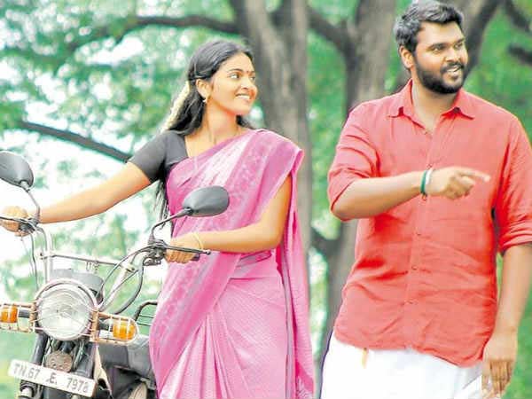 காளைகளின் வகைகள்