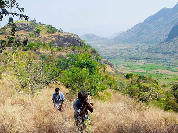 Merku thodarchi malai review Merku thodarchi malai review