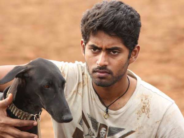 நெல்லை கதைக்களம்: 